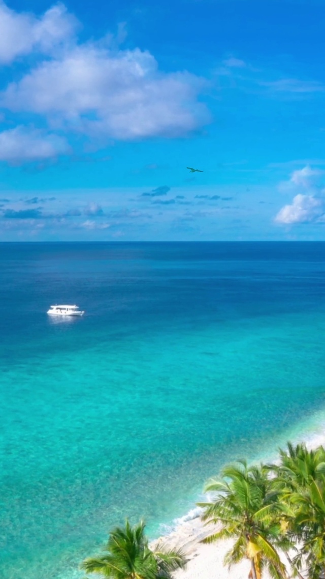 海上扁舟，孤鸟盘桓