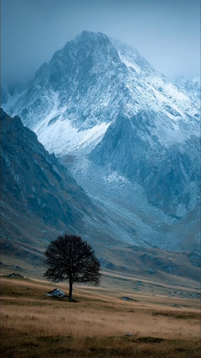 风景