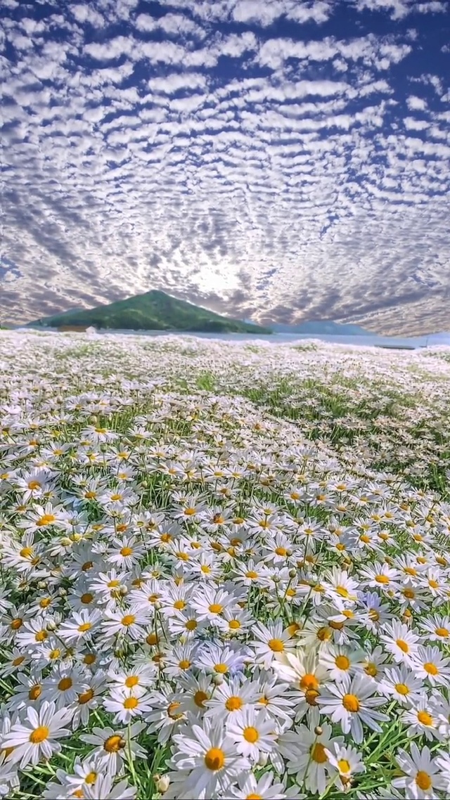 所有温柔浪漫的情景