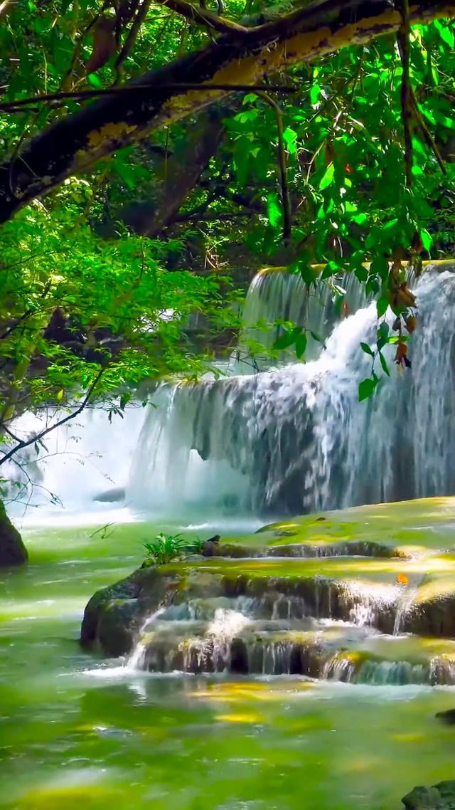 护眼绿林瀑布溪水