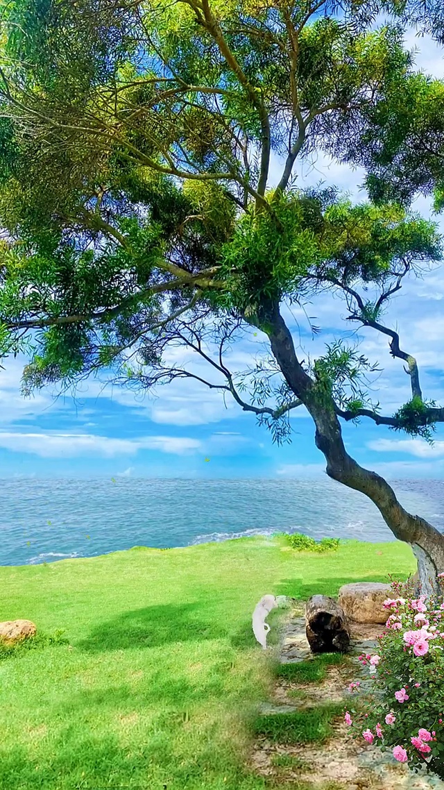 大自然的搬运工