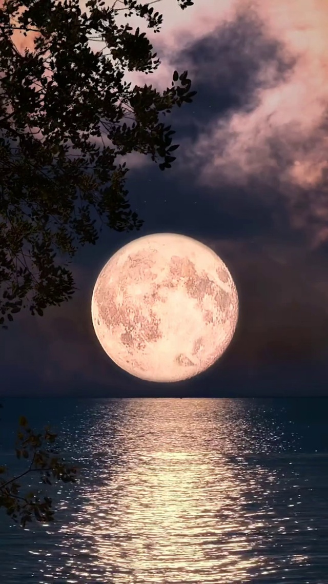 海上生明月，天涯共此时。
情人怨遥夜，竟夕起相思