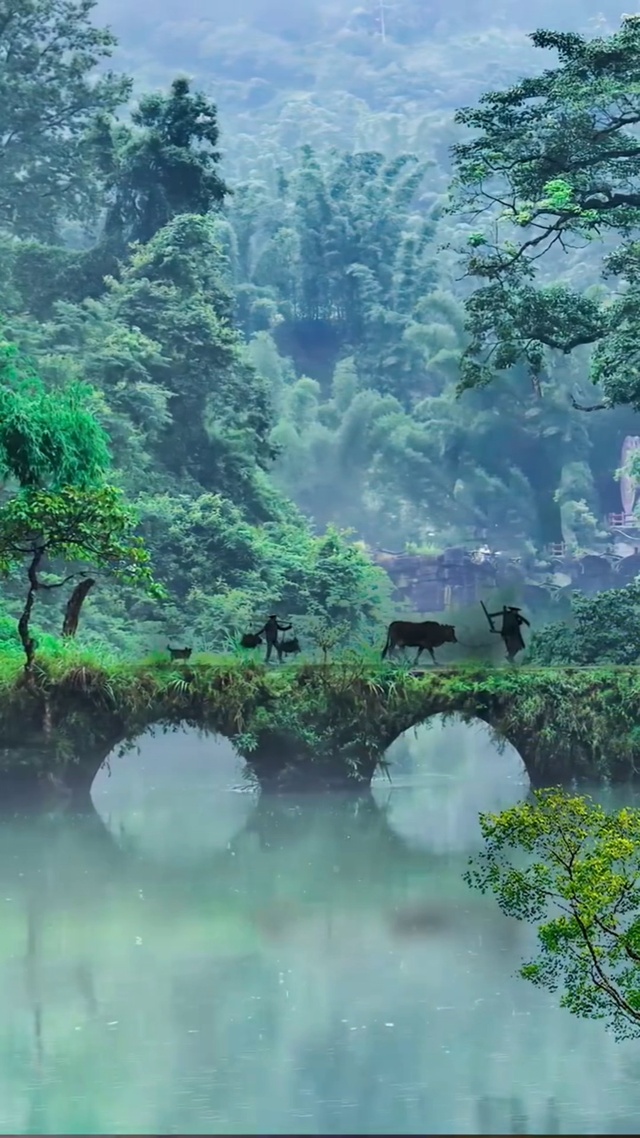 半山半水半朦胧