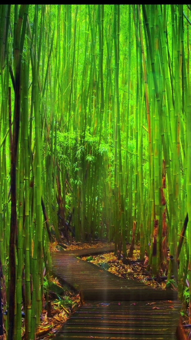 聆听