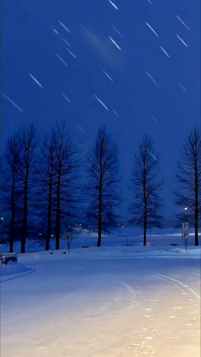 风景