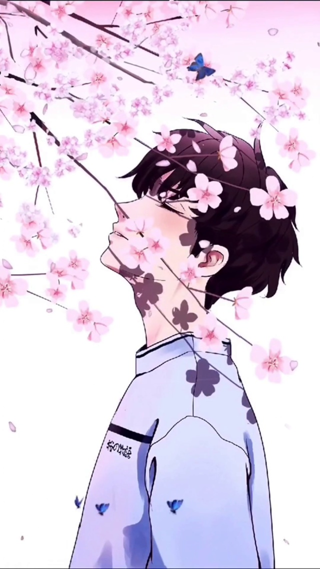 蝴蝶樱花