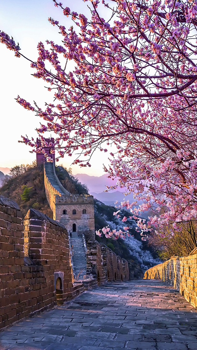 春夏秋冬，有我陪着你