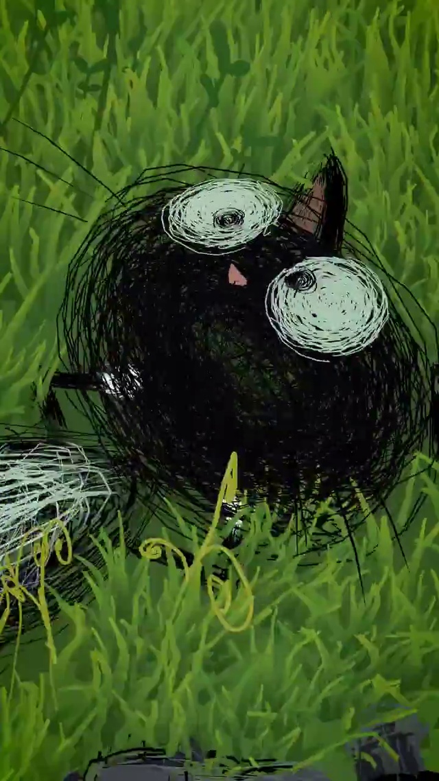 猫 4k