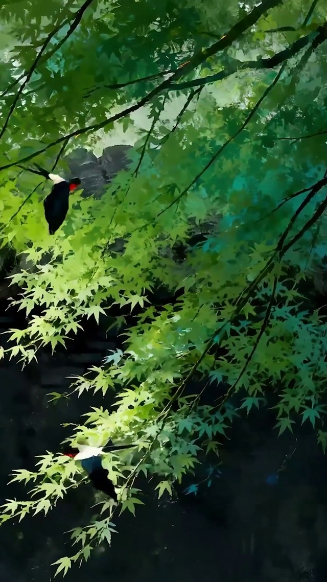护眼绿景