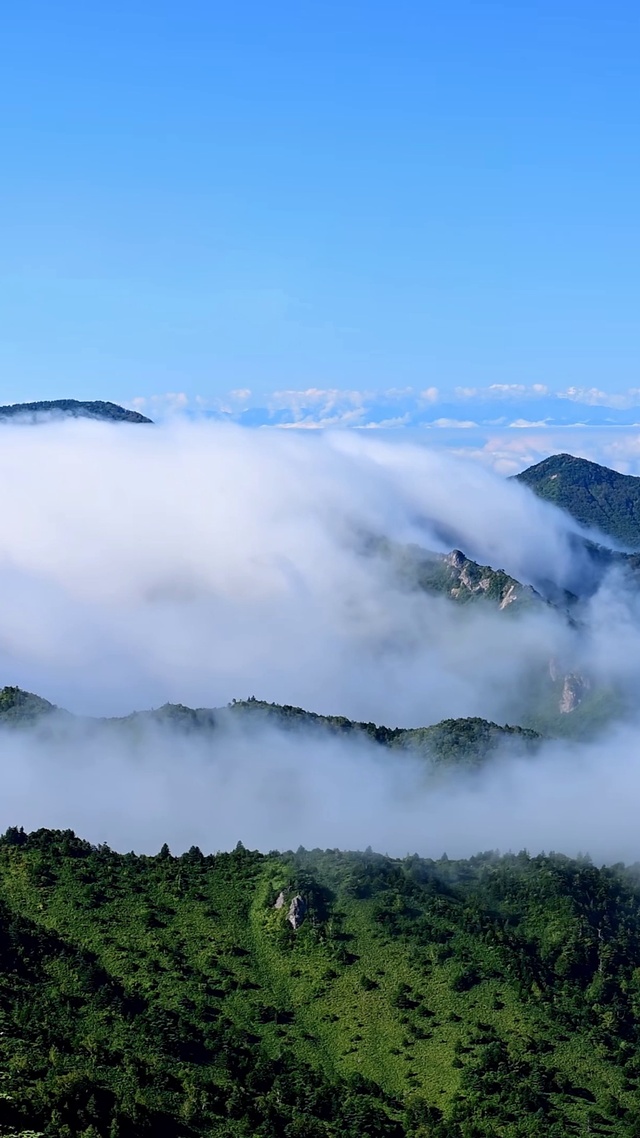 高山云海