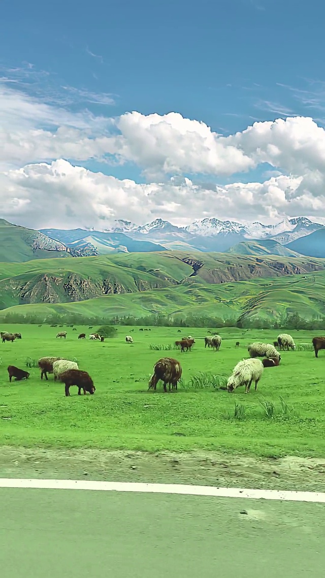 蓝天白云青草地