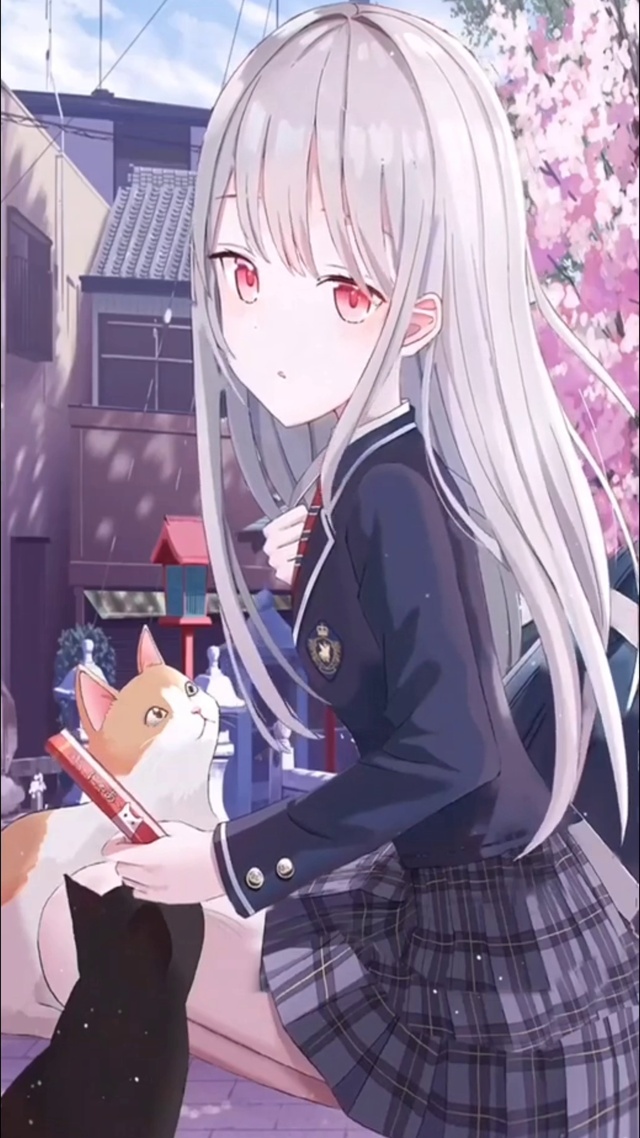 街道上的少女与猫