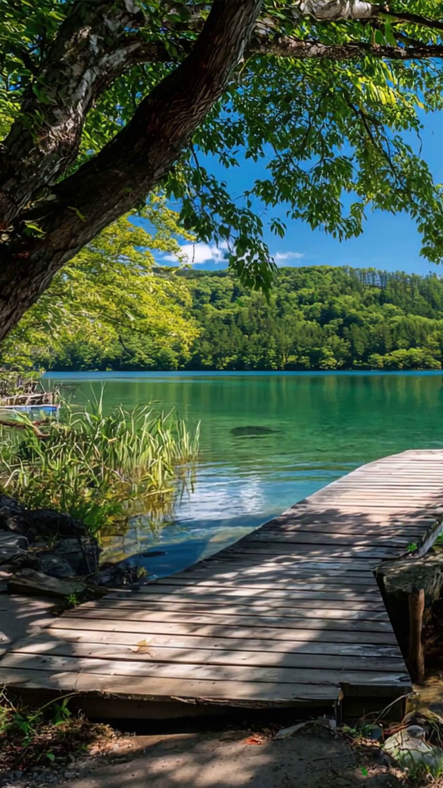 护眼山川绿景