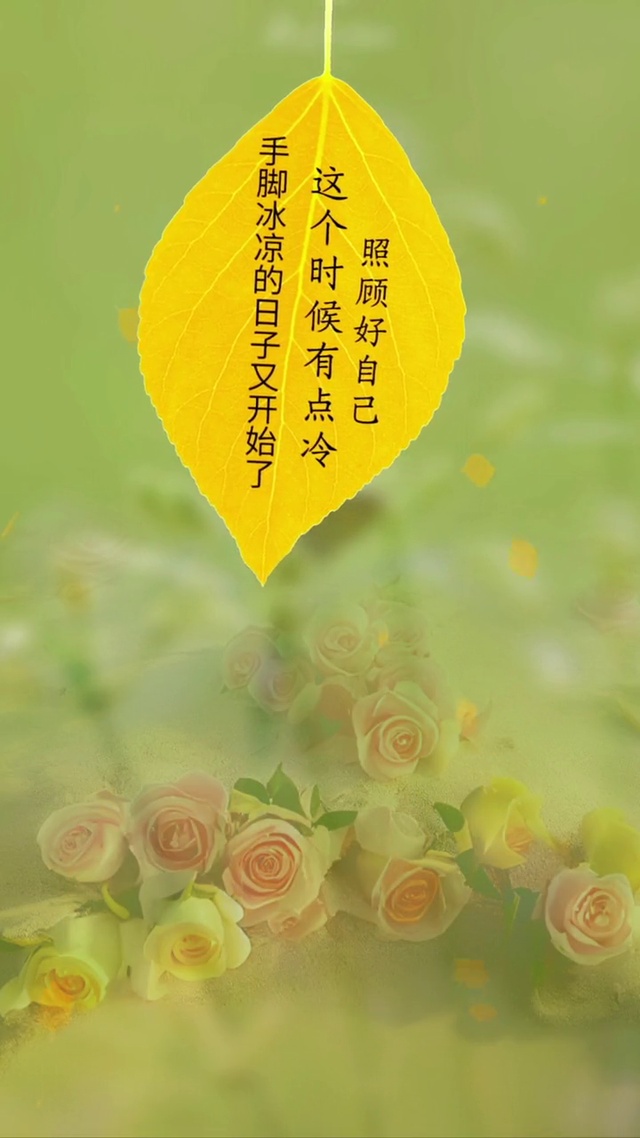 手脚冰凉的日子又开始了 这个时候有点冷 照顾好自己