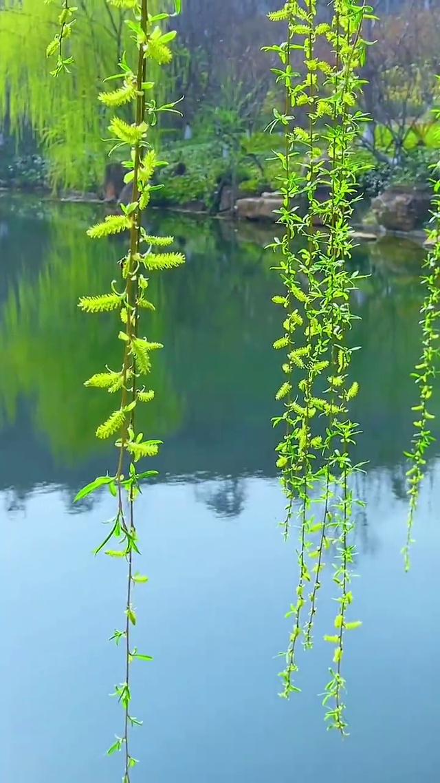 春风得意