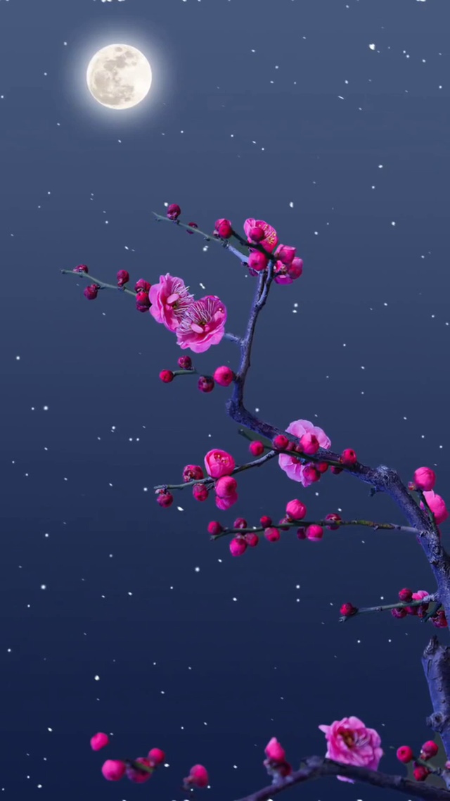 月圆之夜思念之情