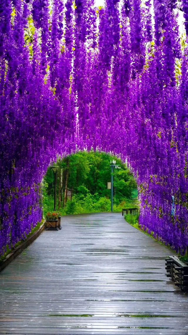 人的一生，慢慢行、慢慢学、慢慢品，保持平常心！看淡得失，随心随缘，常怀感恩，知足常乐，如此甚好。