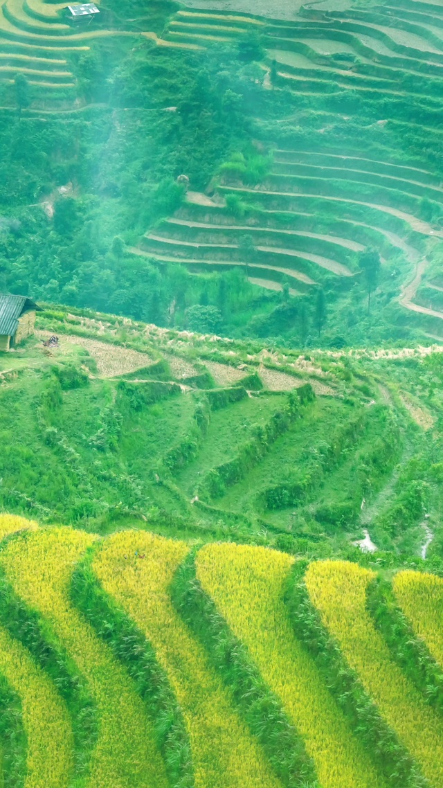 无尽梯田，乡村田野