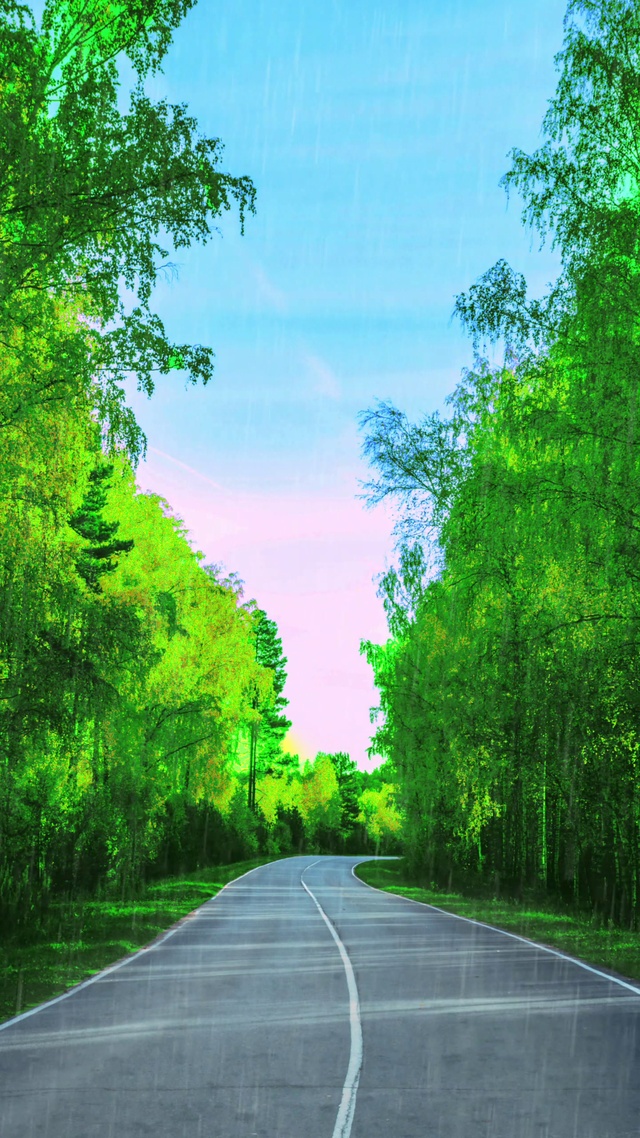 找一个这样的树林,听一下林间的雨,吹一下山间的风,心静了,一切都没有那么重要了。