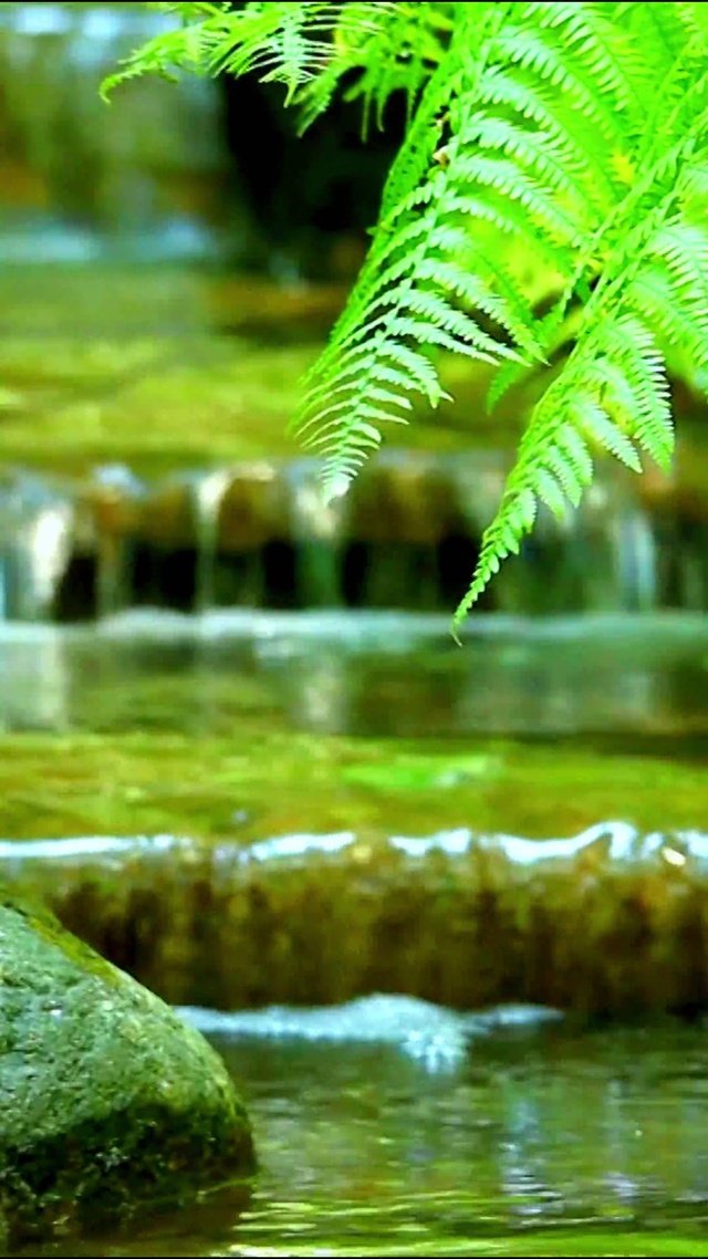 4K治愈小溪流水
