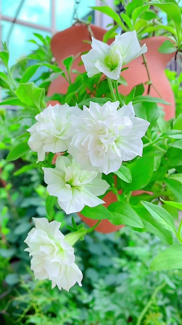 世间万物皆可爱