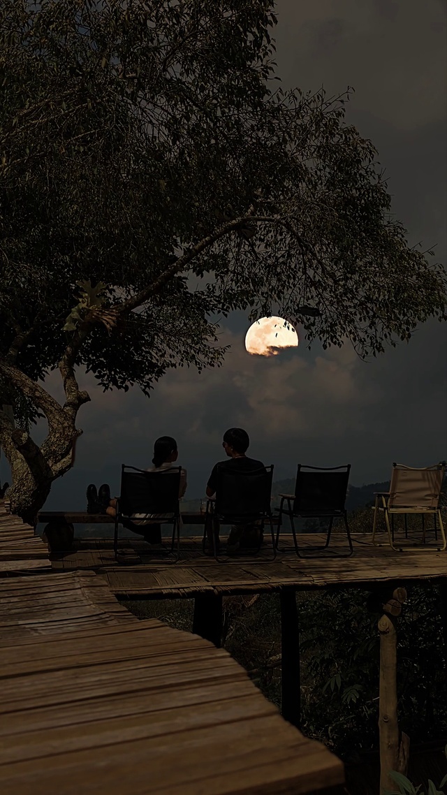 开始怀念夏夜了