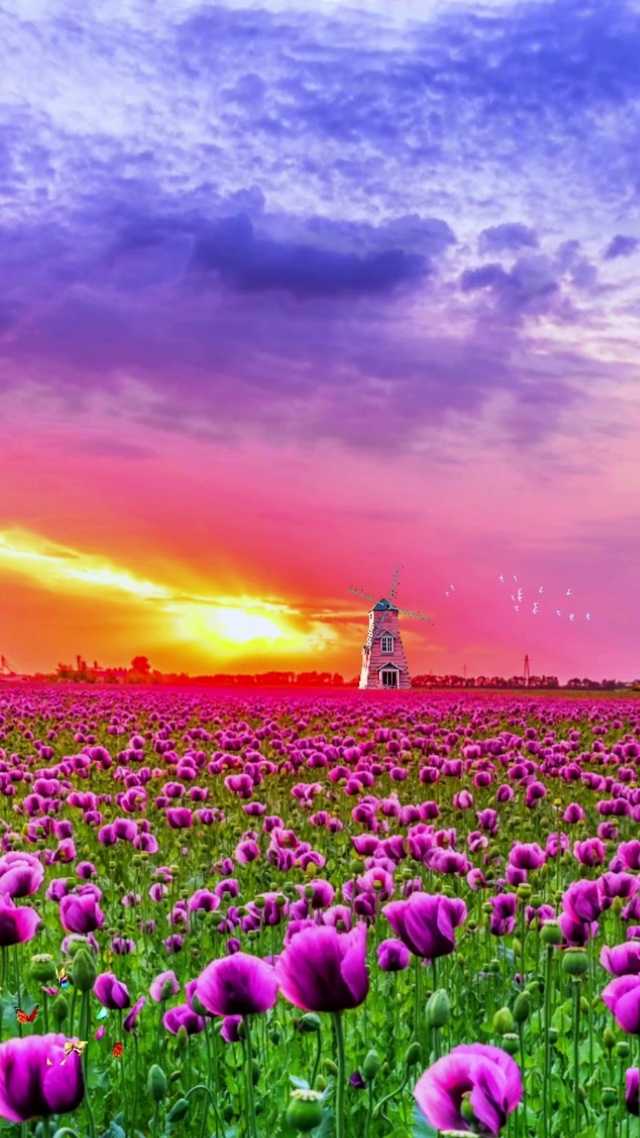 紫气东来，好运将至