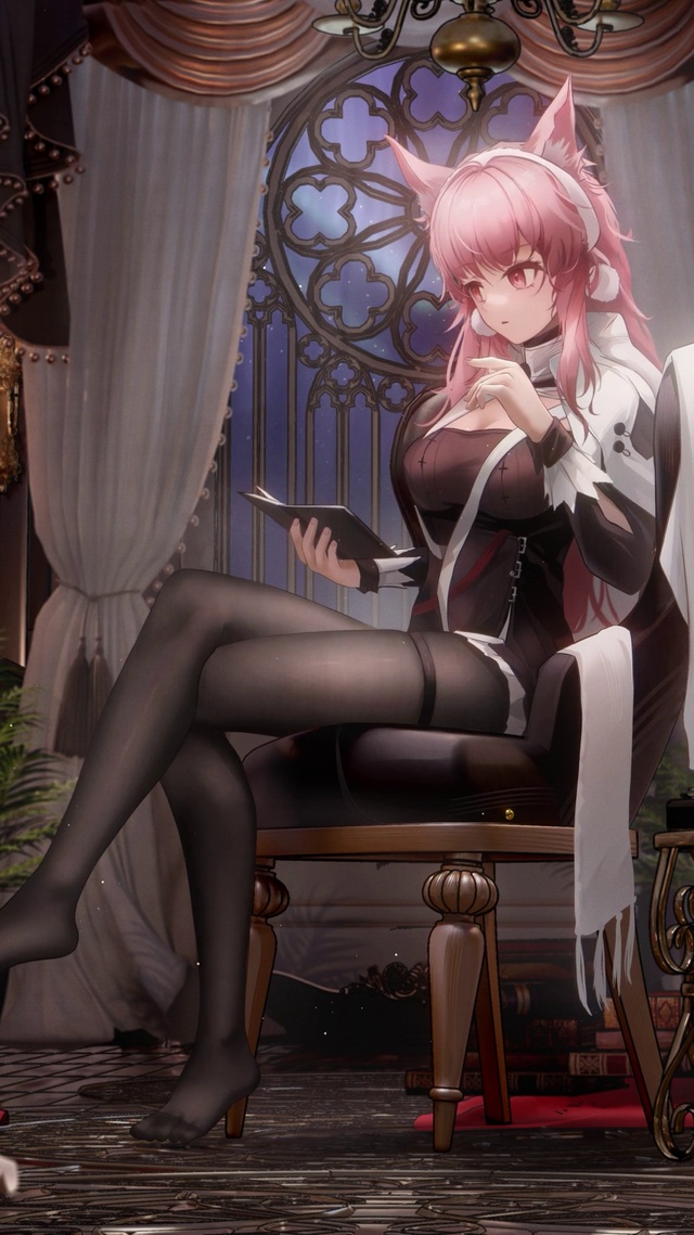 明日方舟鸿雪-黑丝