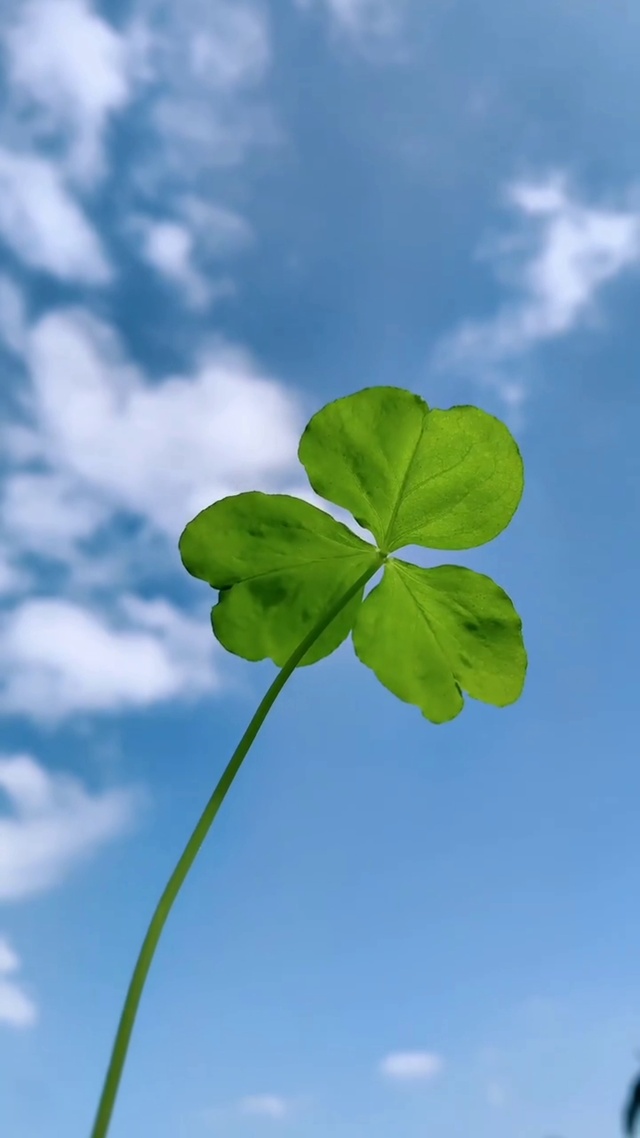 别否定自己，生活明朗，好运在路上