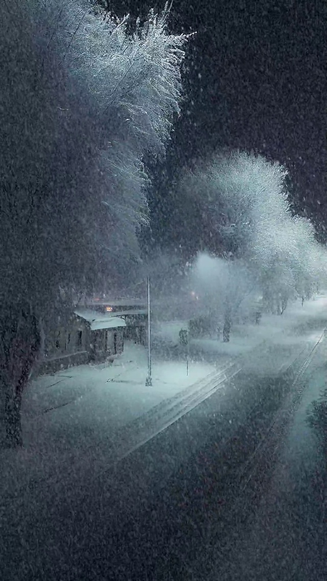 孤独的雪景