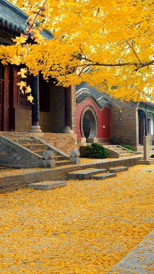 金色秋天，黄叶飘零，古刹梵音。