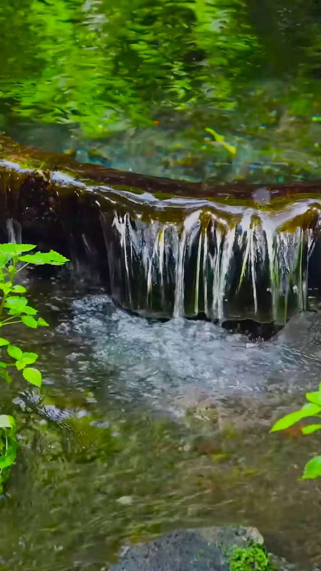 夏日清凉溪水