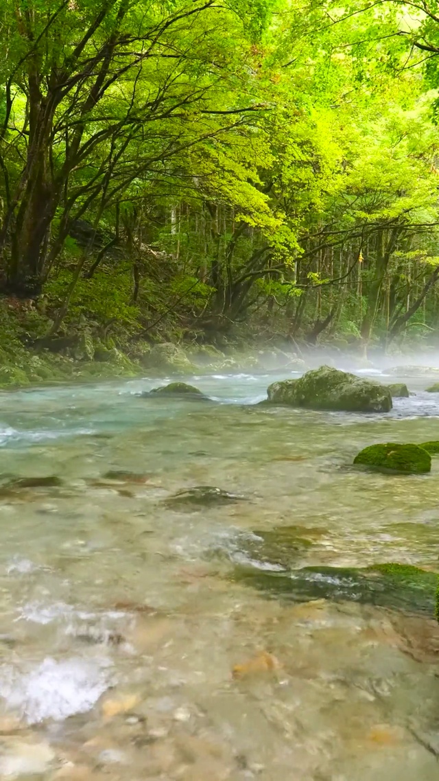 护眼绿林溪流