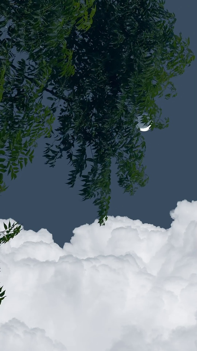 4K高清夜景