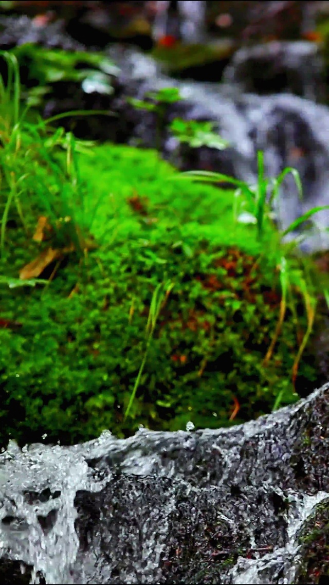 治愈护眼溪流 4K