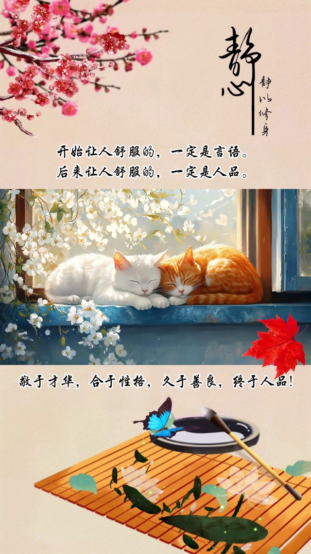 阳光午后