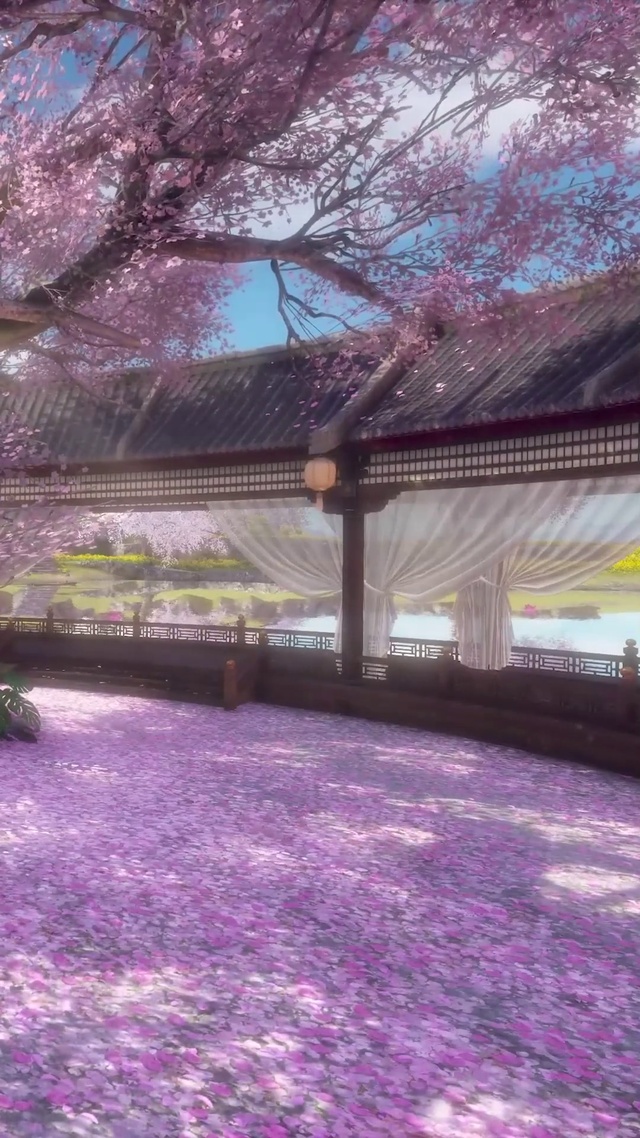 古风樱花庭院