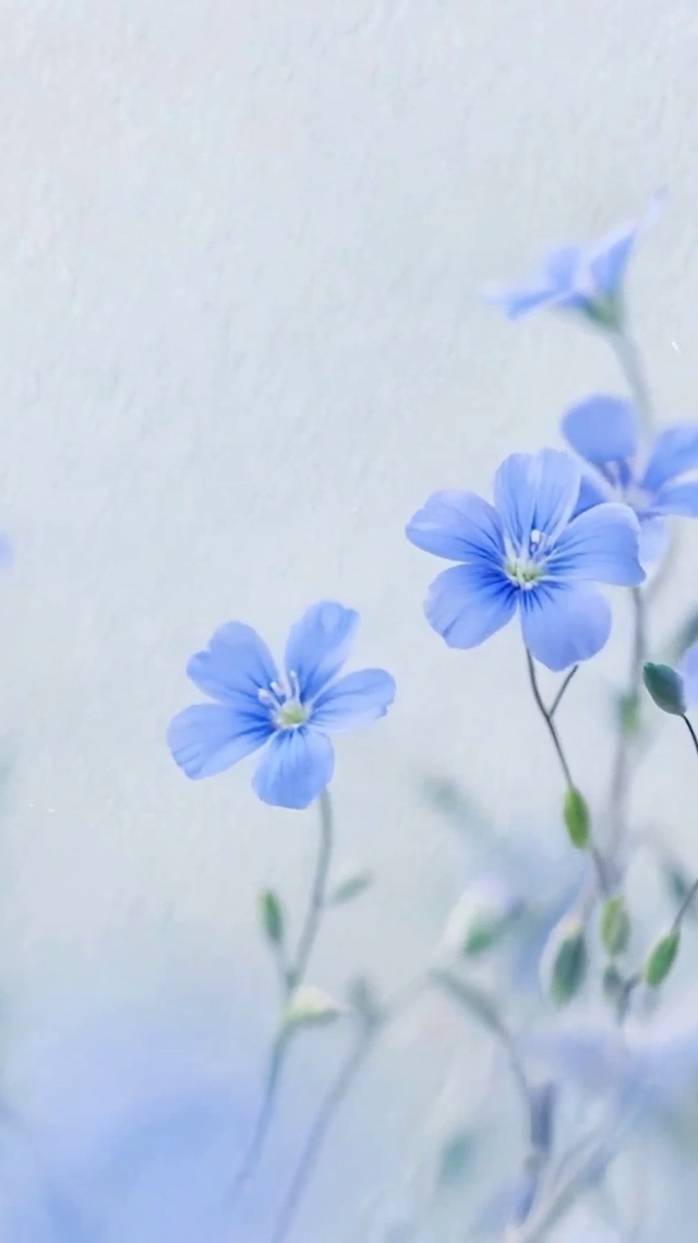 护眼花草树木
