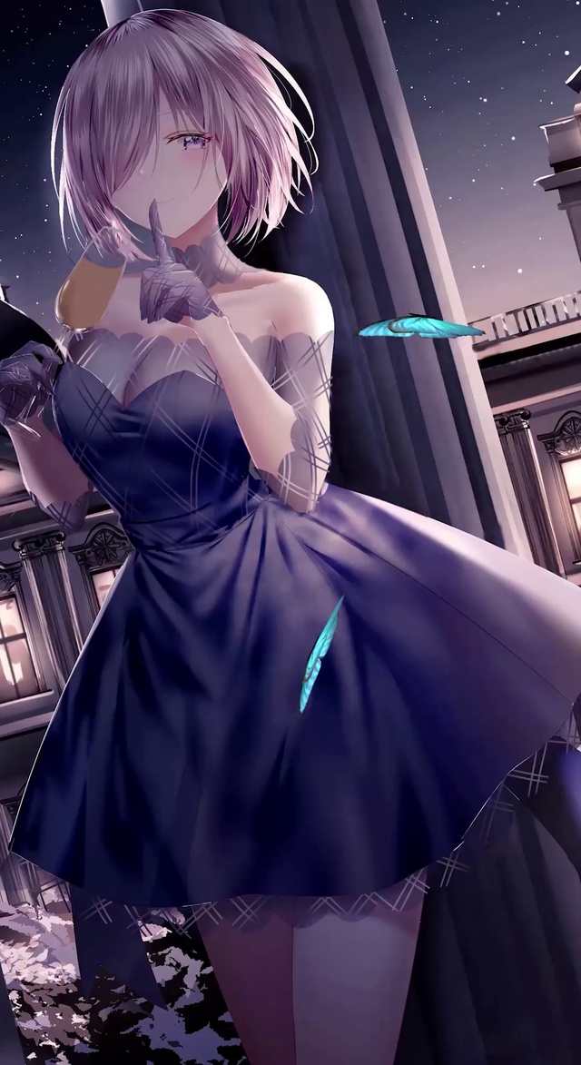 fgo 玛修 动态壁纸