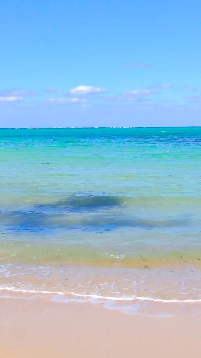 放松夏日海浪海滩 