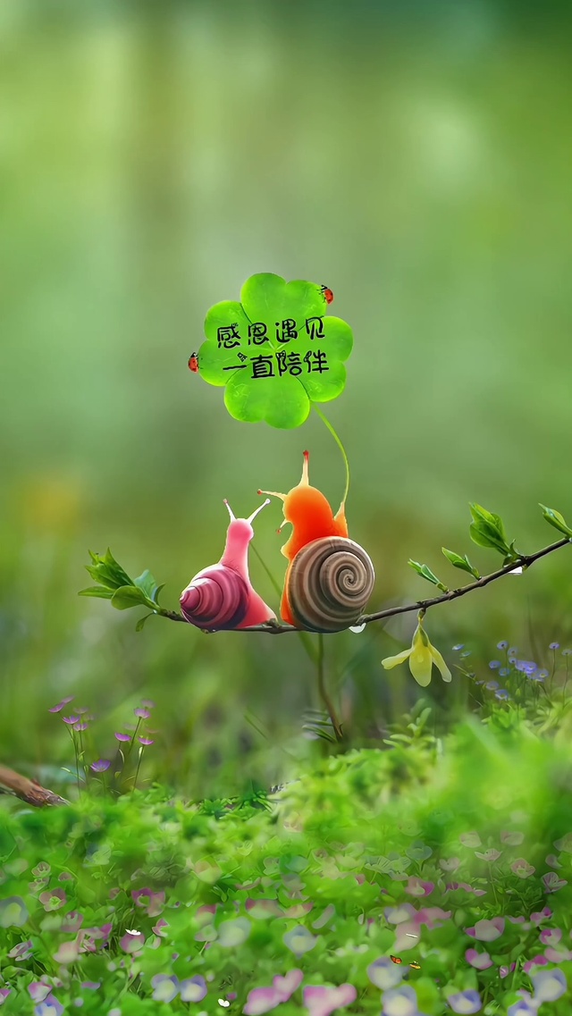自从遇见你，世间所有美好都成具象