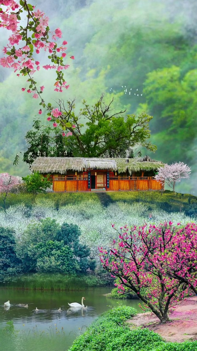 春风得意