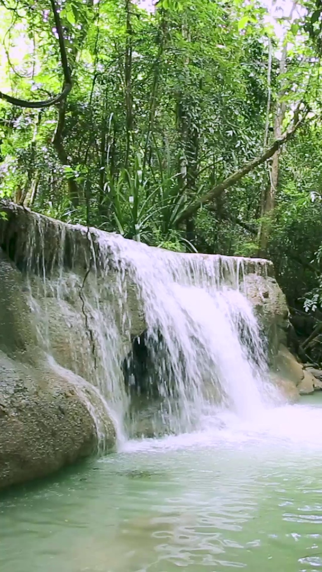 4K 高清 热带雨林瀑布