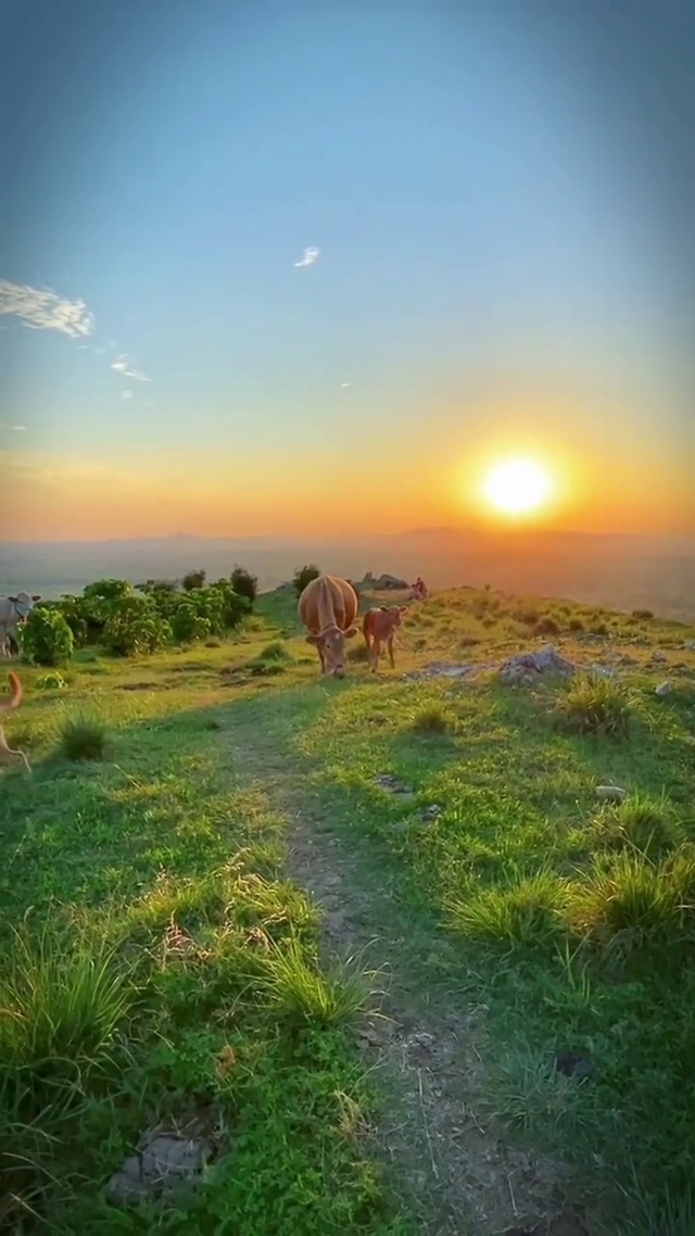 夕阳西下
