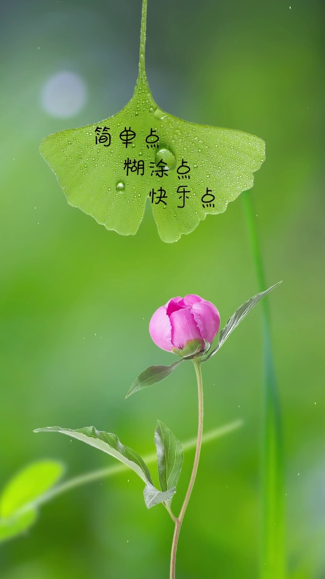简单点，糊涂点