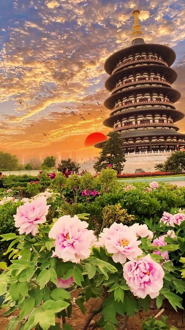 晚霞下的塔寺和花朵