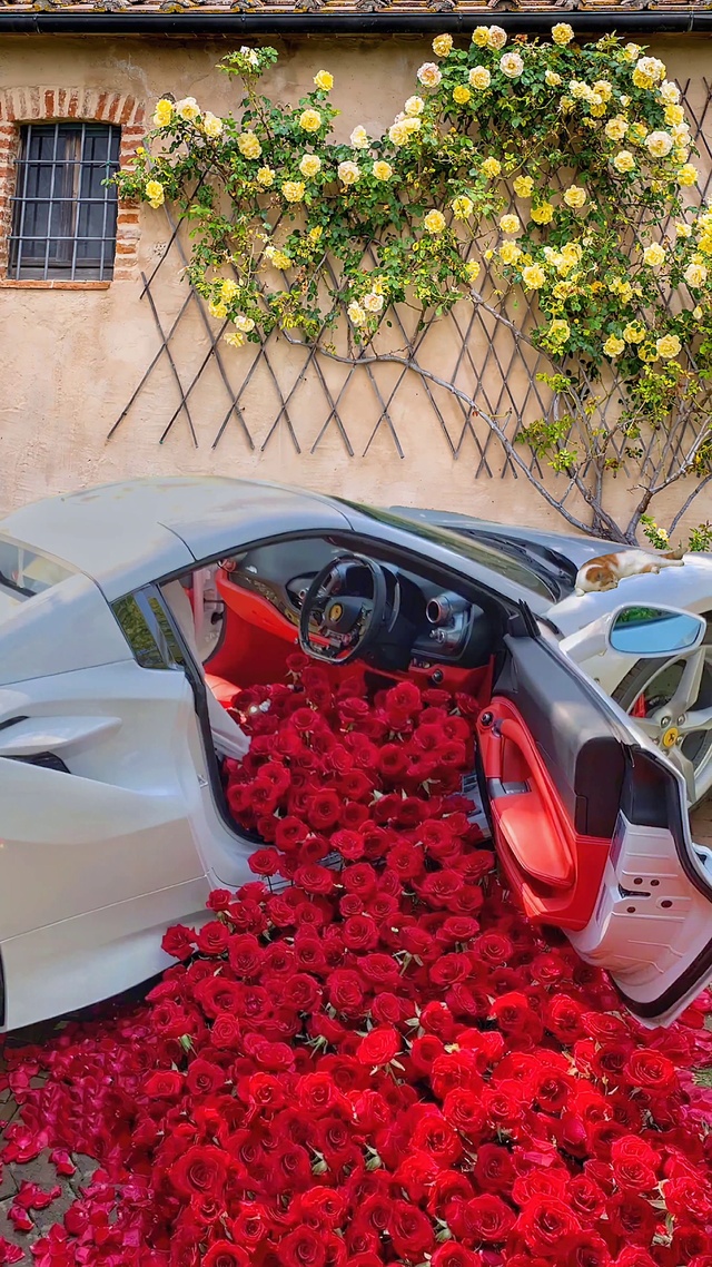 花墙下的浪漫玫瑰花车