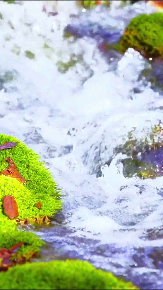 落叶有意流水无情