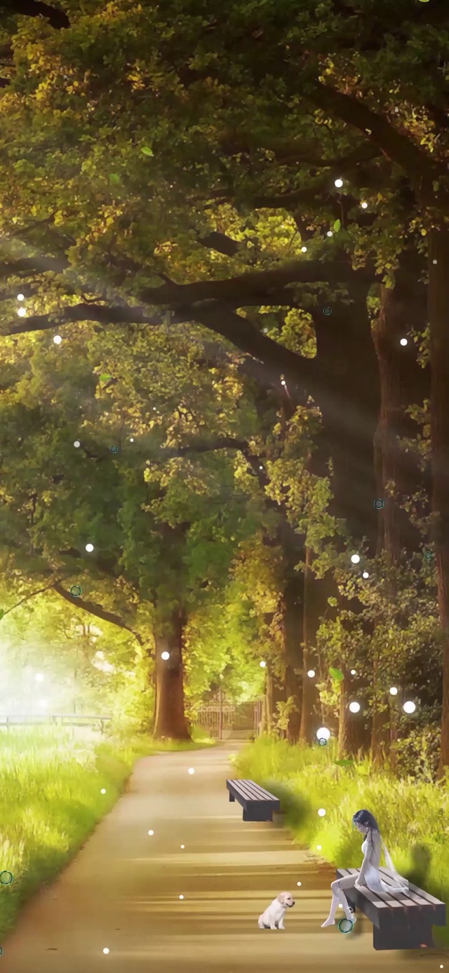 金秋阳光湖边公园