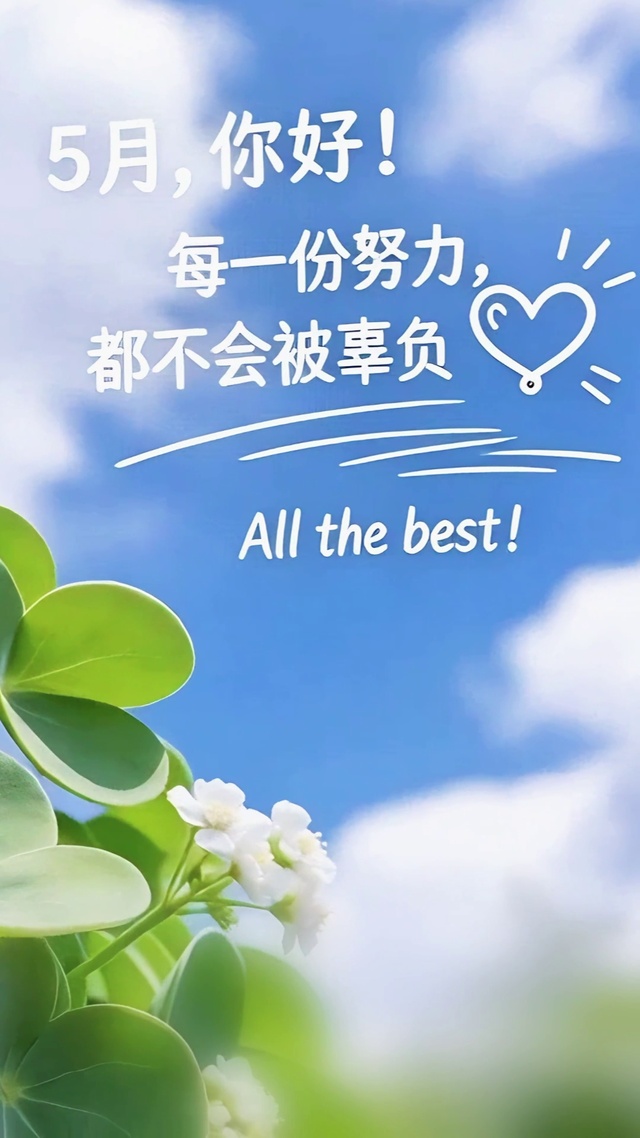 5月你好-心叶草的祝福